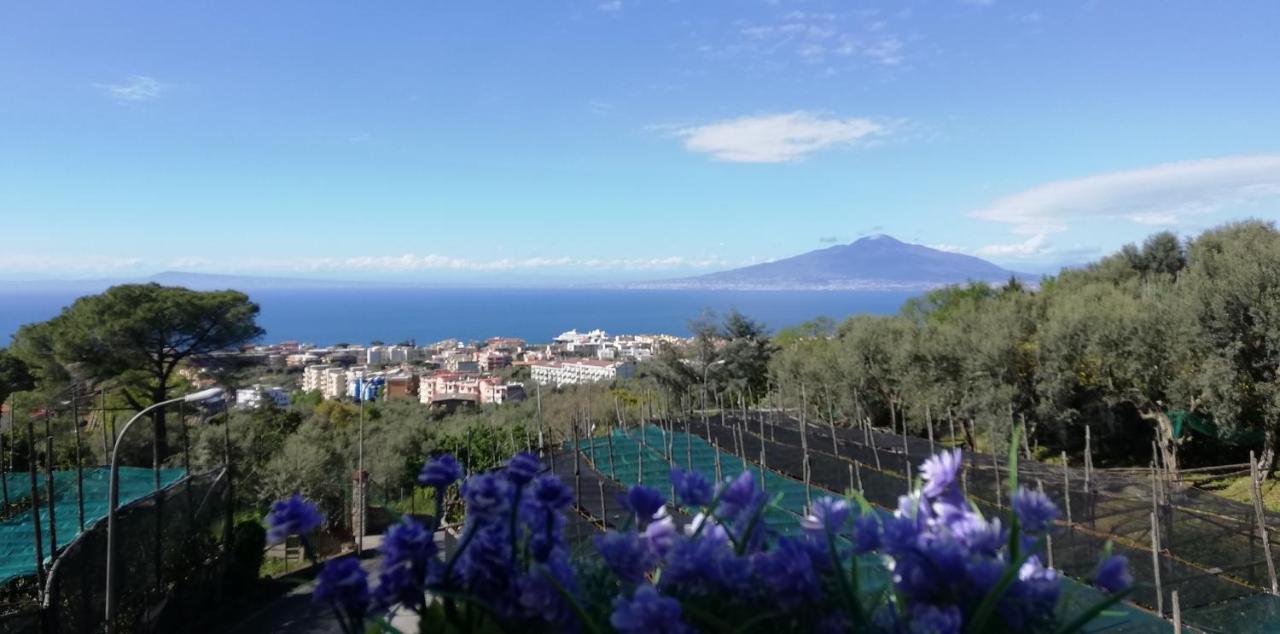 Appartamento Dolce Casa Sorrento